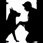 harappa Dogschool
